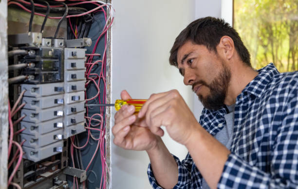 Best Electric Panel Repair  in Fortuna Foothills, AZ